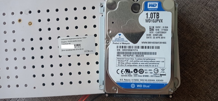 Почему ещё жив?