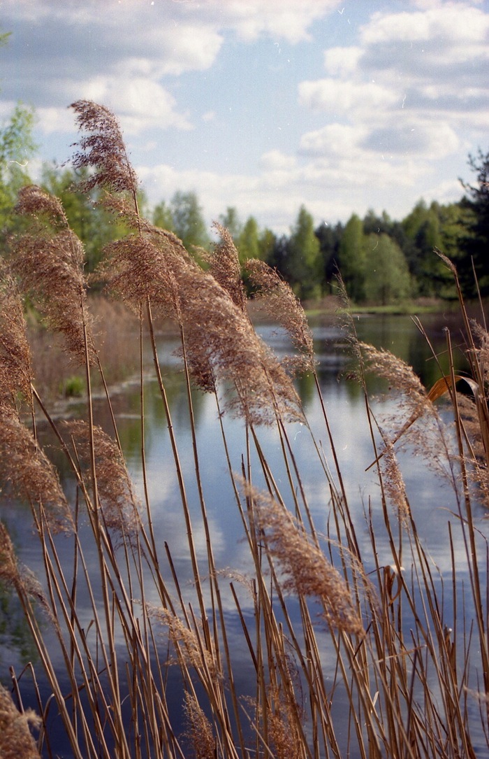 ����� �����