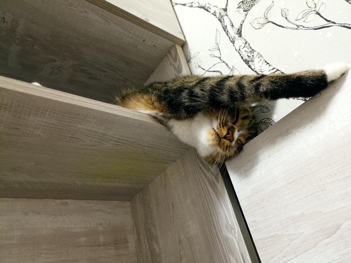 ��� ������ � ��� ������!