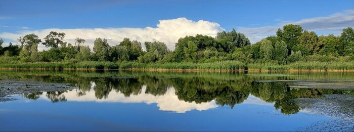 ����� ����������. �����������