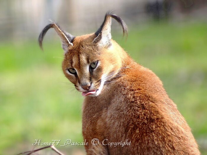 ��������� �������� � �����