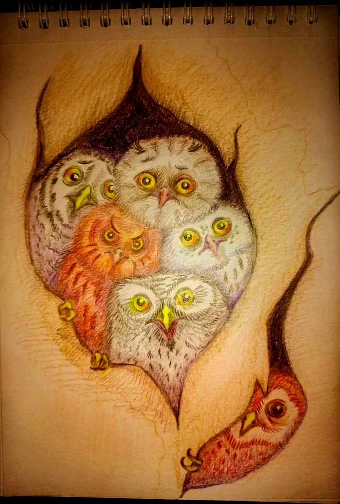 ����� �������