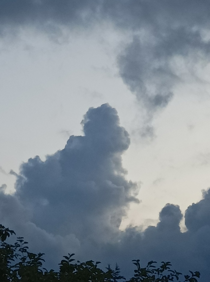       , , 