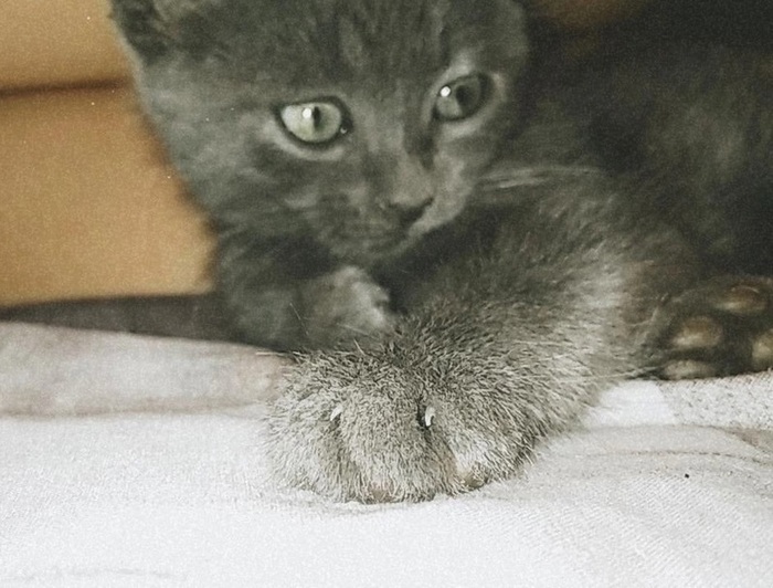 Просим о теге