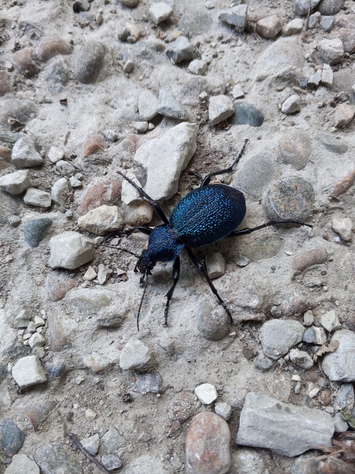 ������� ��� �� �����������?