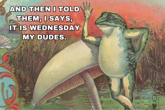   ! , , , It Is Wednesday My Dudes