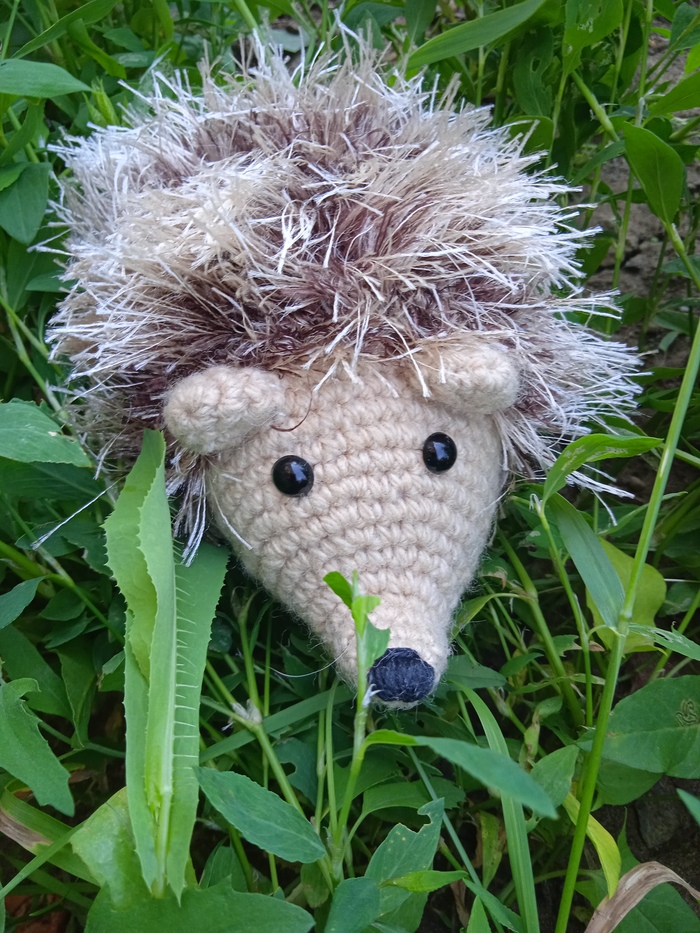 Лесной житель