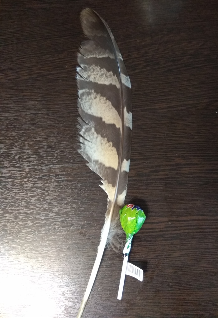 ������ � �����������