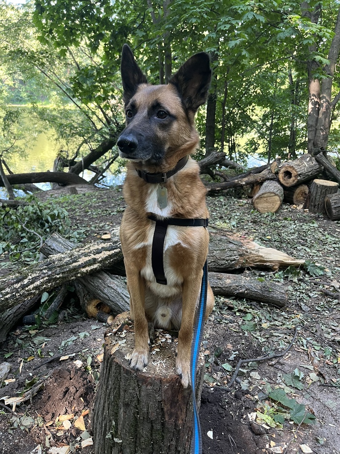 �� �������� ��������