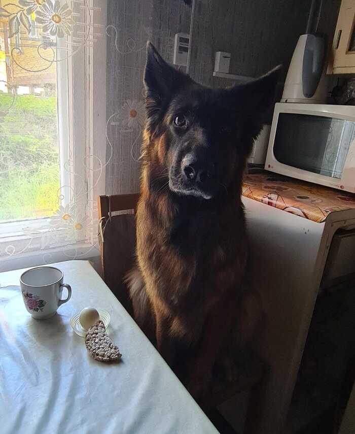 ������� �� ����