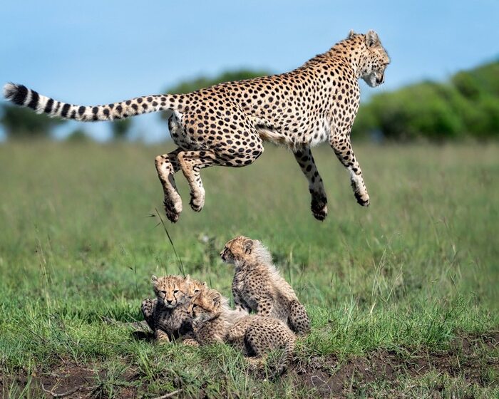 ��� ���������� �� ��������