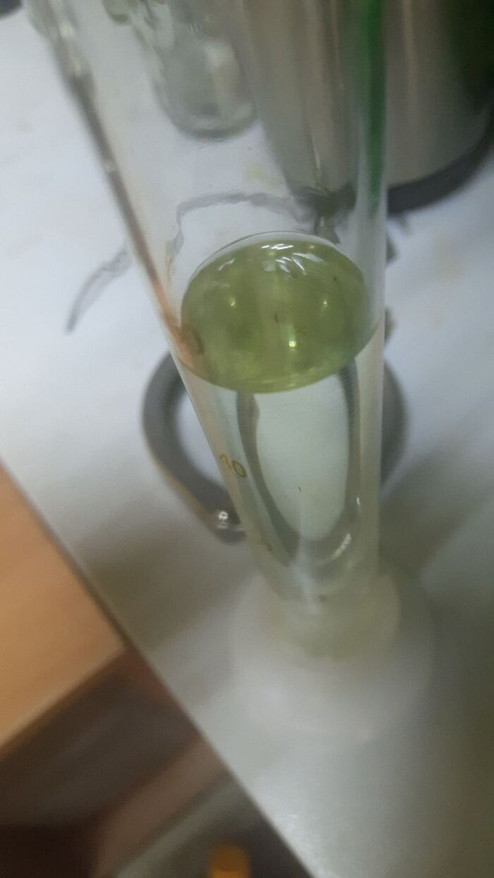 Головы рома зелёные