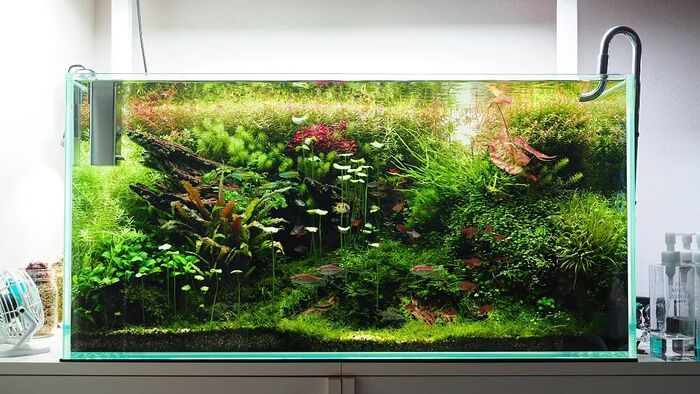 Аквариумное