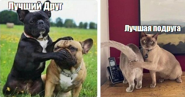 Без них - никуда...