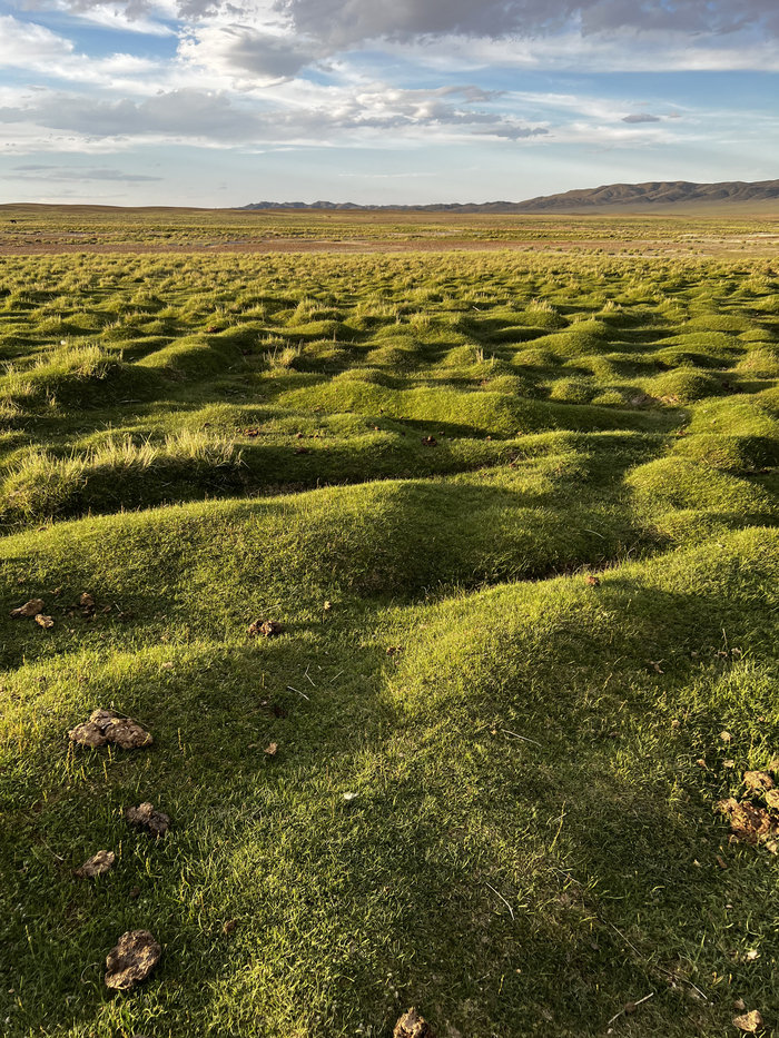 Путешествие по Монголии Путешествия, Монголия, Природа, Туризм, Гоби, Пустыня, Озеро, Длиннопост
