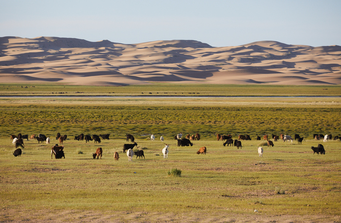 Путешествие по Монголии Путешествия, Монголия, Природа, Туризм, Гоби, Пустыня, Озеро, Длиннопост