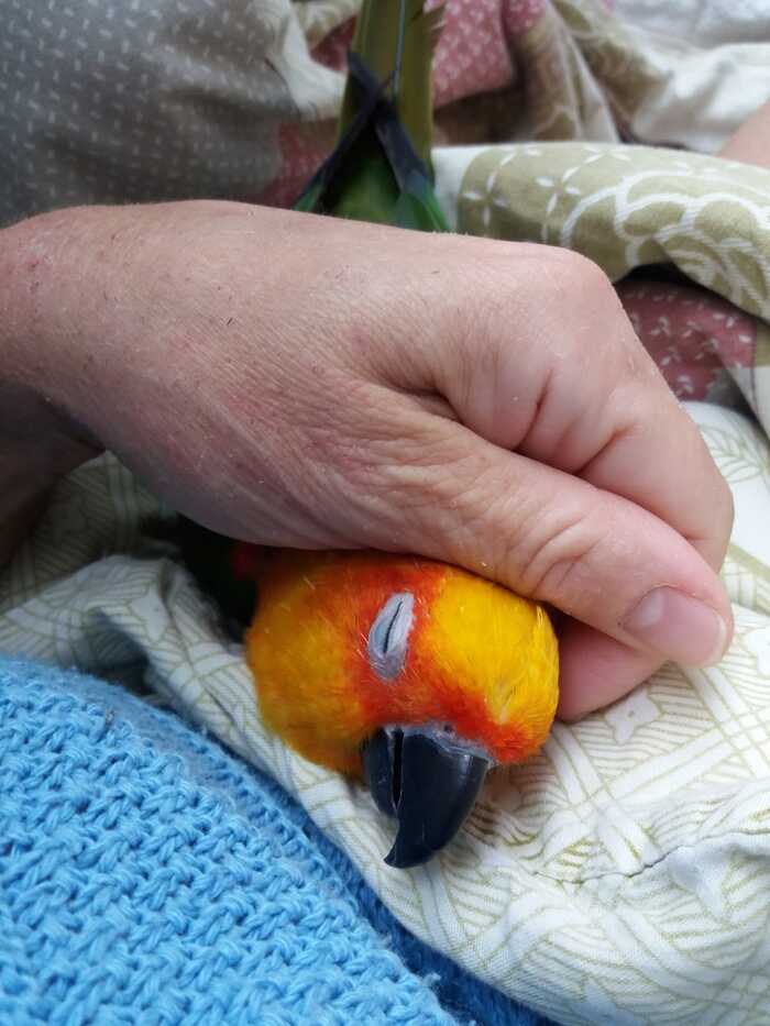 ���� ������ �������! ������� ������ ��������!