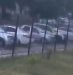 ��� ��� ��� ���� � ������������ ������