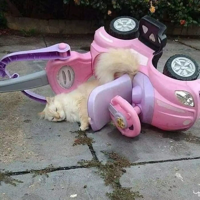     , ,  , 