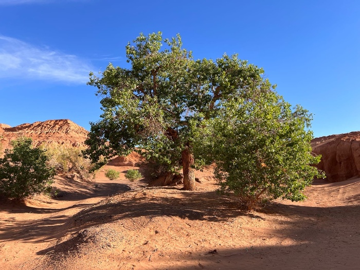 Путешествие по Монголии. 2 часть Монголия, Путешествия, Туризм, Природа, Пейзаж, Пустыня, Каньон, Видео, Без звука, Длиннопост