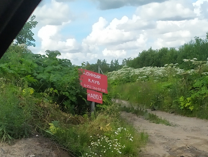 Креативное название