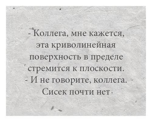 Разговор учёных