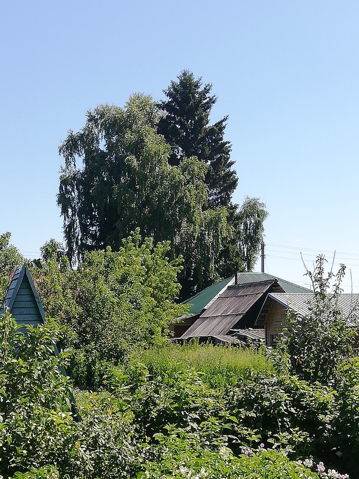 Соревнование всю жизнь