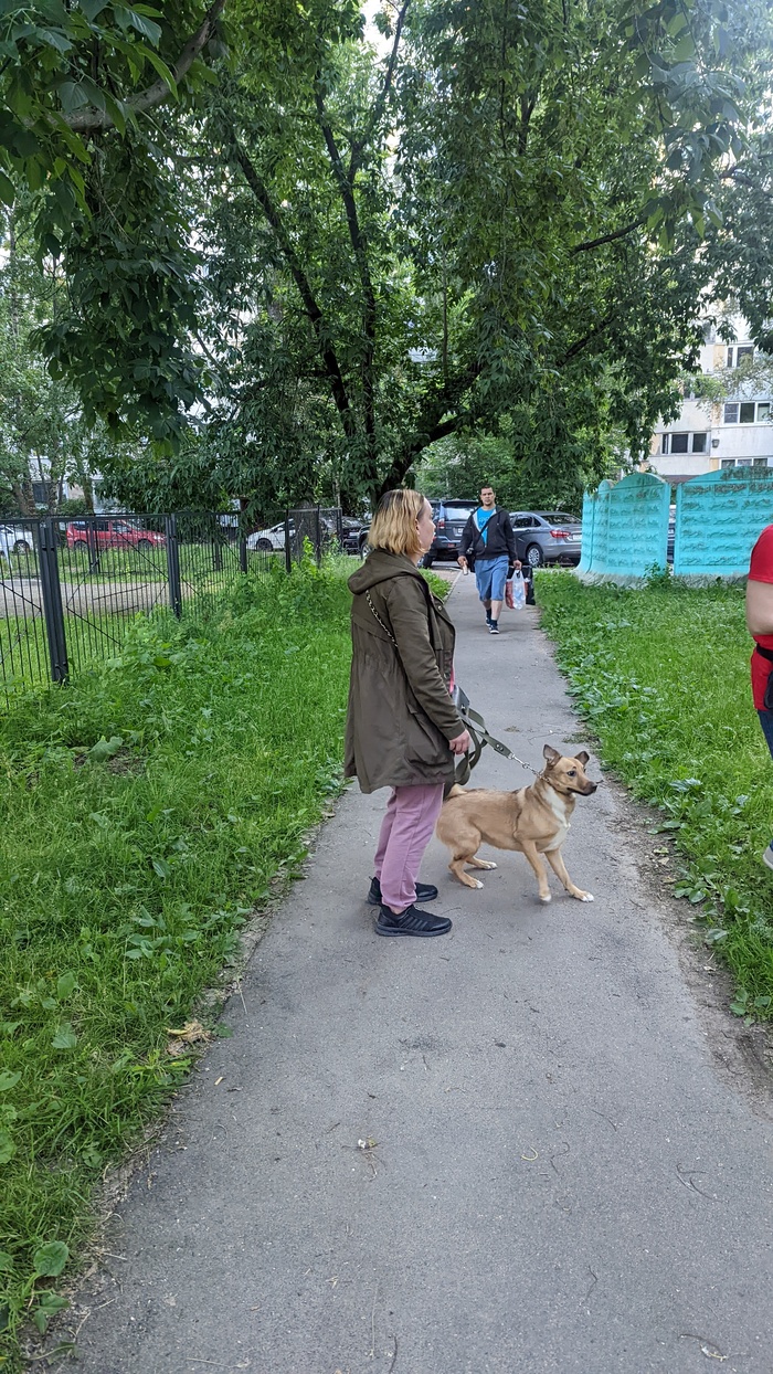 ��������� ���������