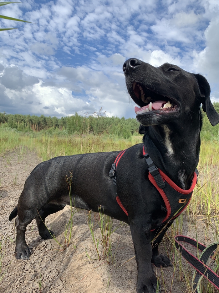 ������� ���������� ����! ��������� ��� ���!