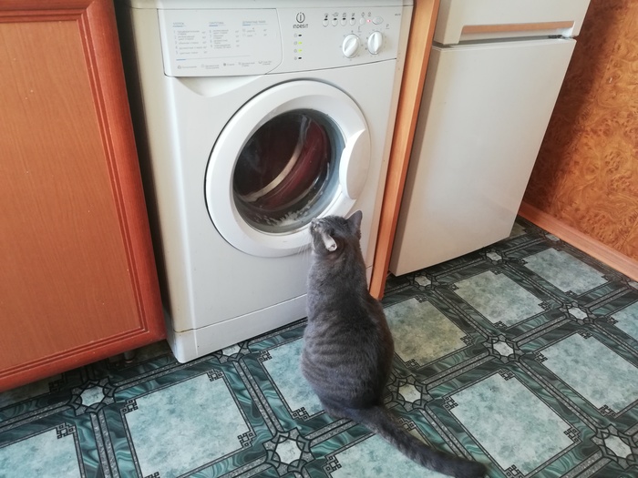 � ��� � ��� ��� �����?