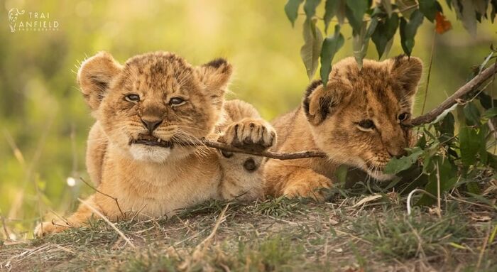 В ожидании мамы