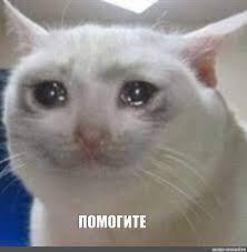 ����� ������������� ������������� - "������ �������� ������� ����� ����� �������"