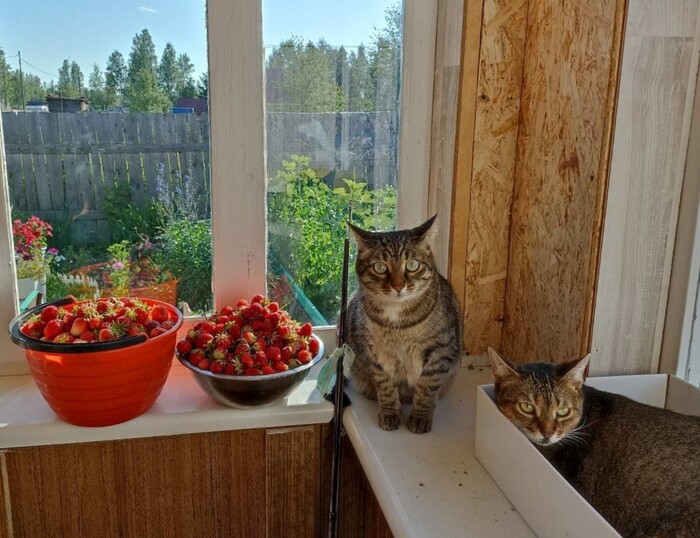 ���� � ��������