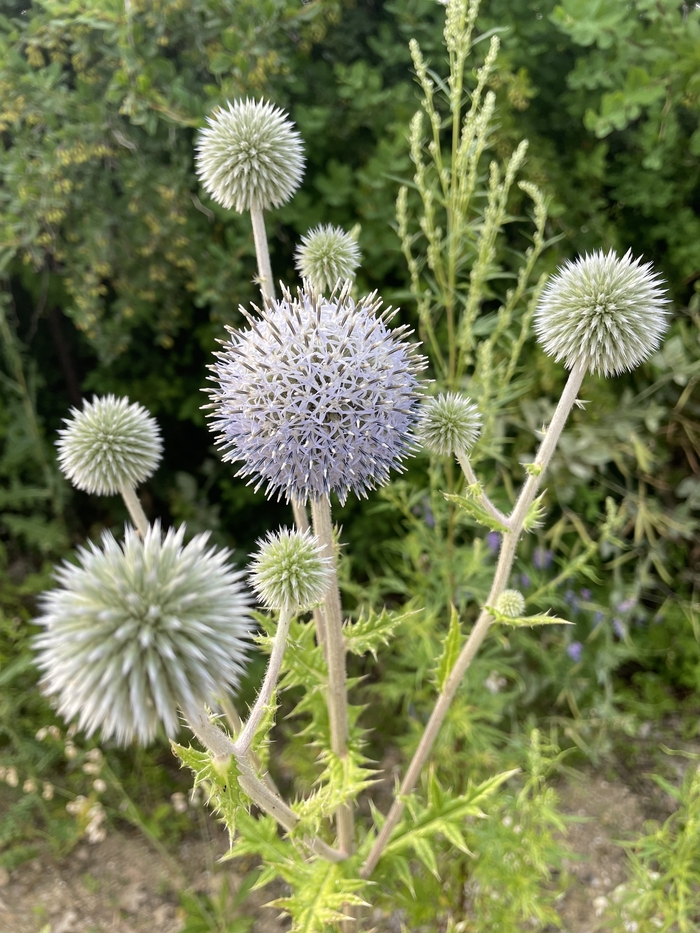 ������������