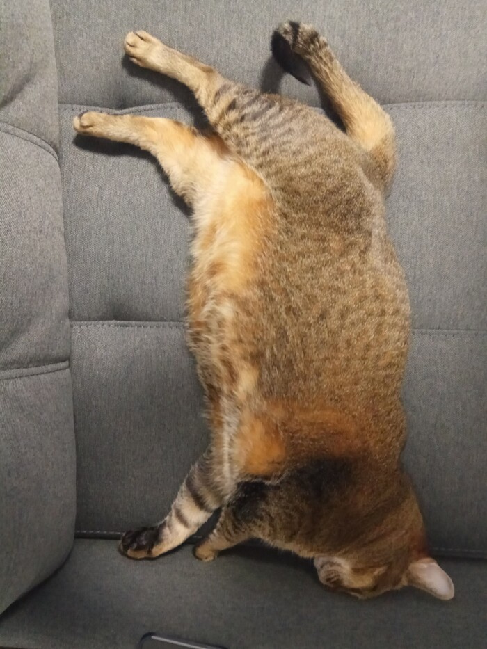 �������� ������������ �����-�������� � ������