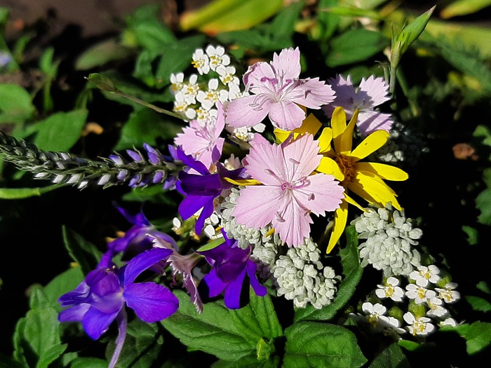 Рассказ про девочку