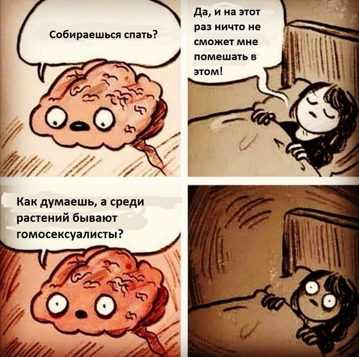 ������������� ��������