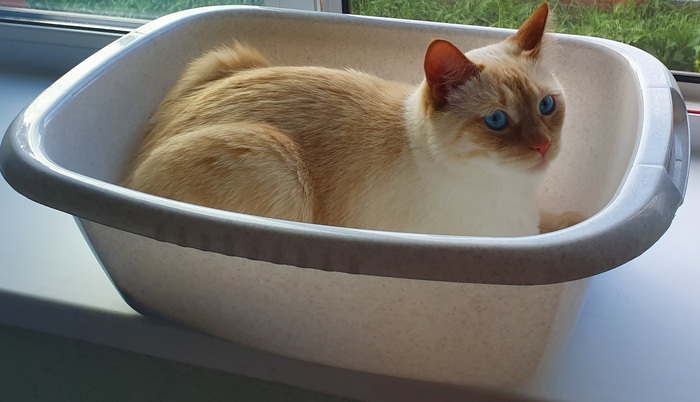 � �����-��������� ���������� �����!