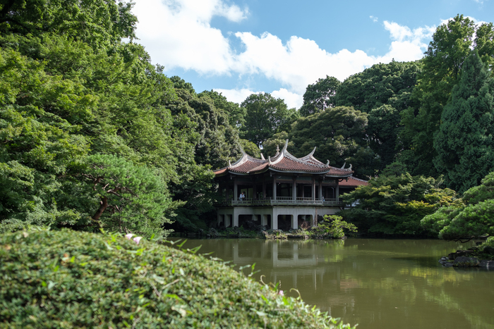 Japan, Tokyo, Shinjuku Gyoen , , , , 