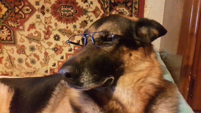 Во что поиграть?...