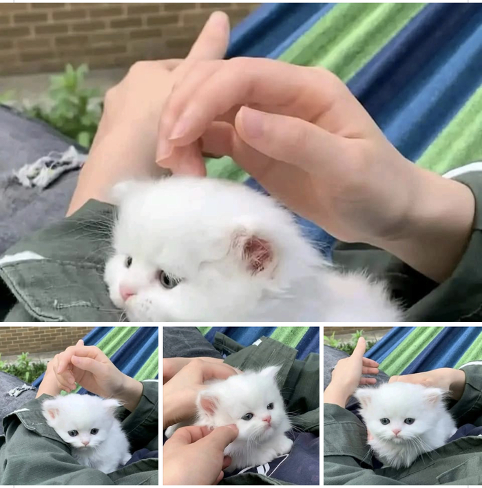    , , , 