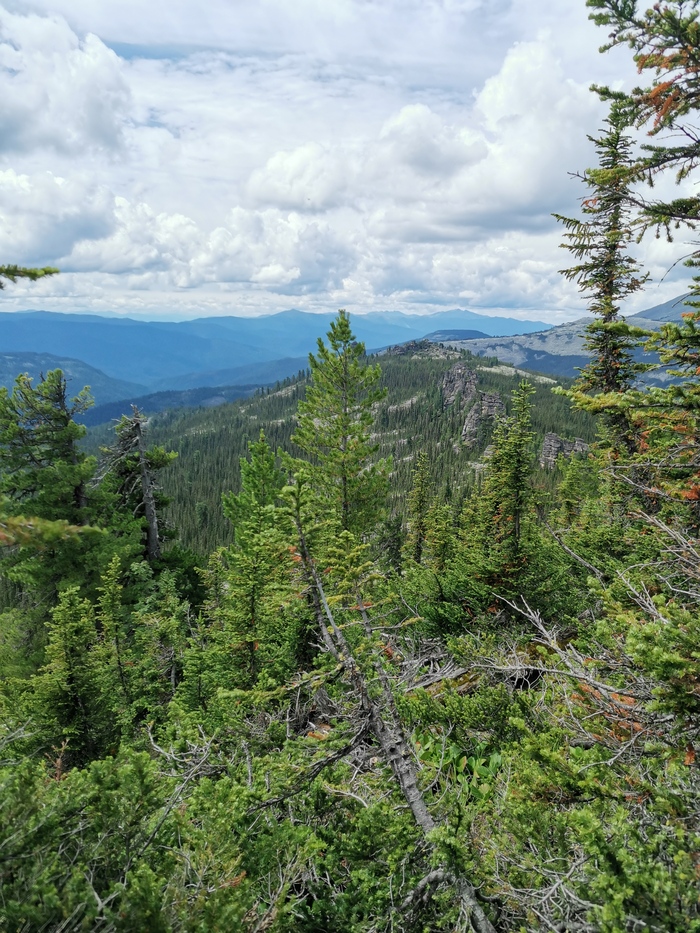 �������� �����