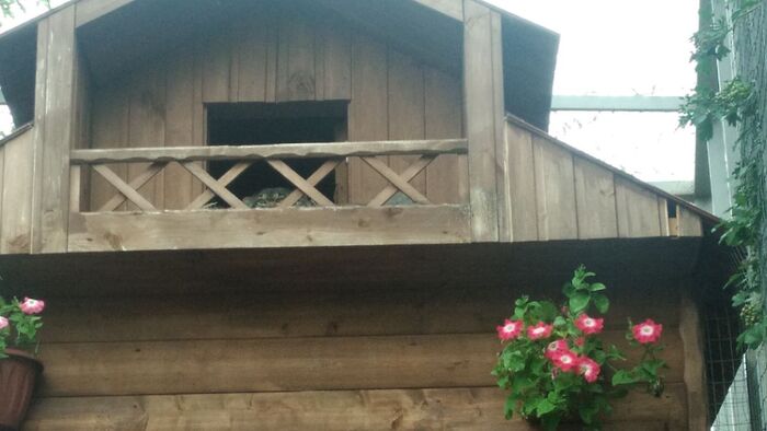 ������ ������? � �� ����!