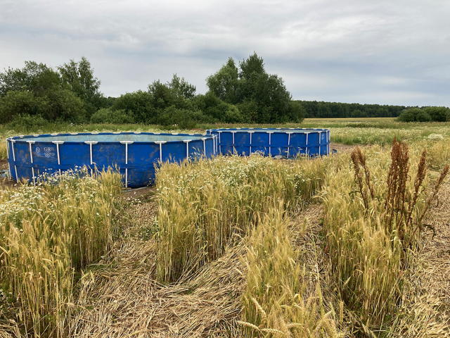 ������ ������ �� �������