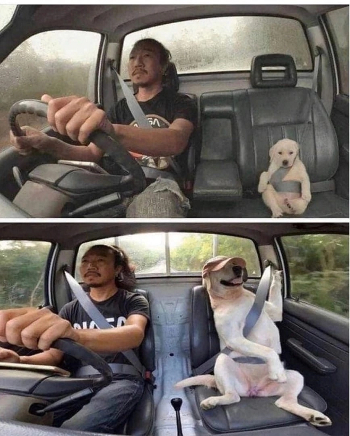 Когда вы ocтались лyчшими дpузьями cпустя столько лет