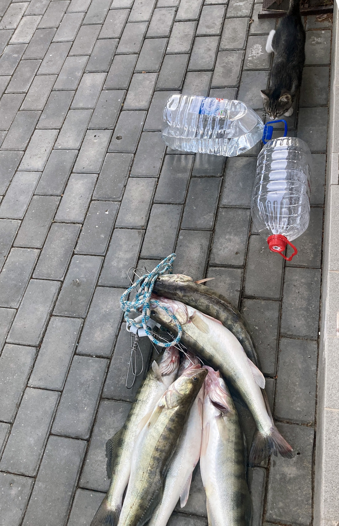 ����� �� ���� ������ � ������