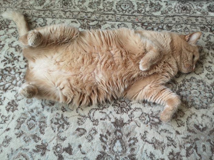 Лайф из гуд