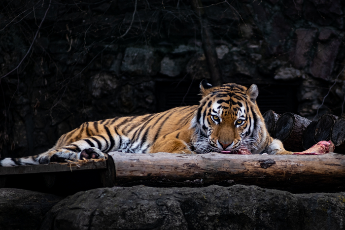 ���� �� ����������� ��������