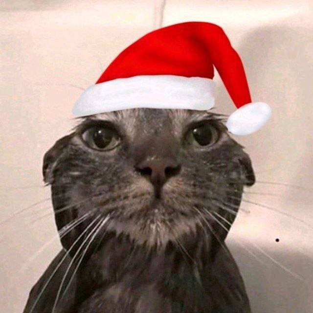 Он шел по улице и тихо плакал.(не грустите)