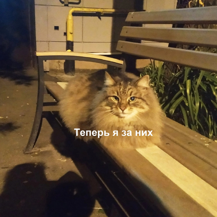   ,   ,  , 